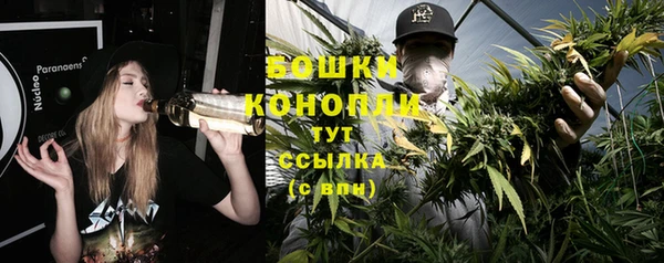 индика Сафоново