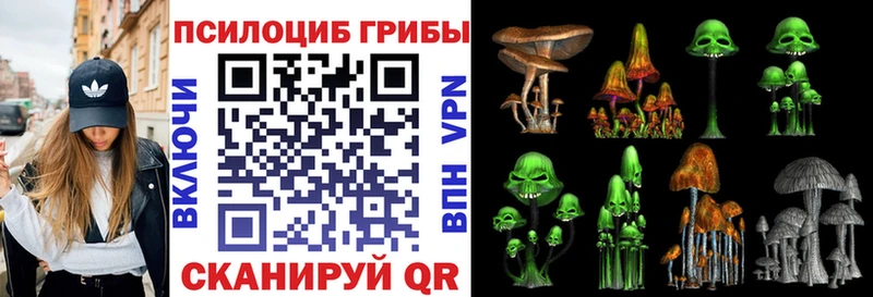 купить наркоту  Кувандык  Псилоцибиновые грибы Magic Shrooms 