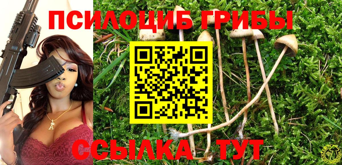 Псилоцибиновые грибы Psilocybe  Вход с VPN  Кувандык 