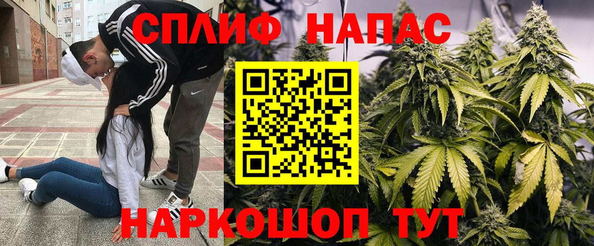 Конопля сатива Кувандык